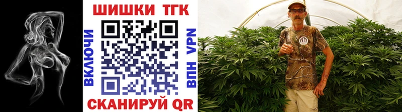 Канабис сатива  Суздаль 